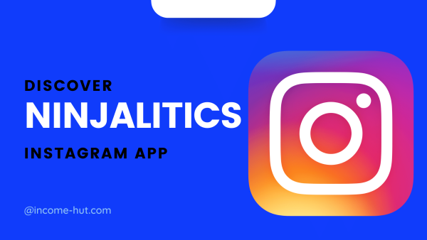 Ninjalitics Instagram App